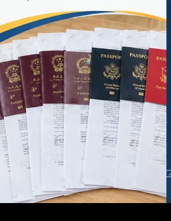 Passports and immigration documents